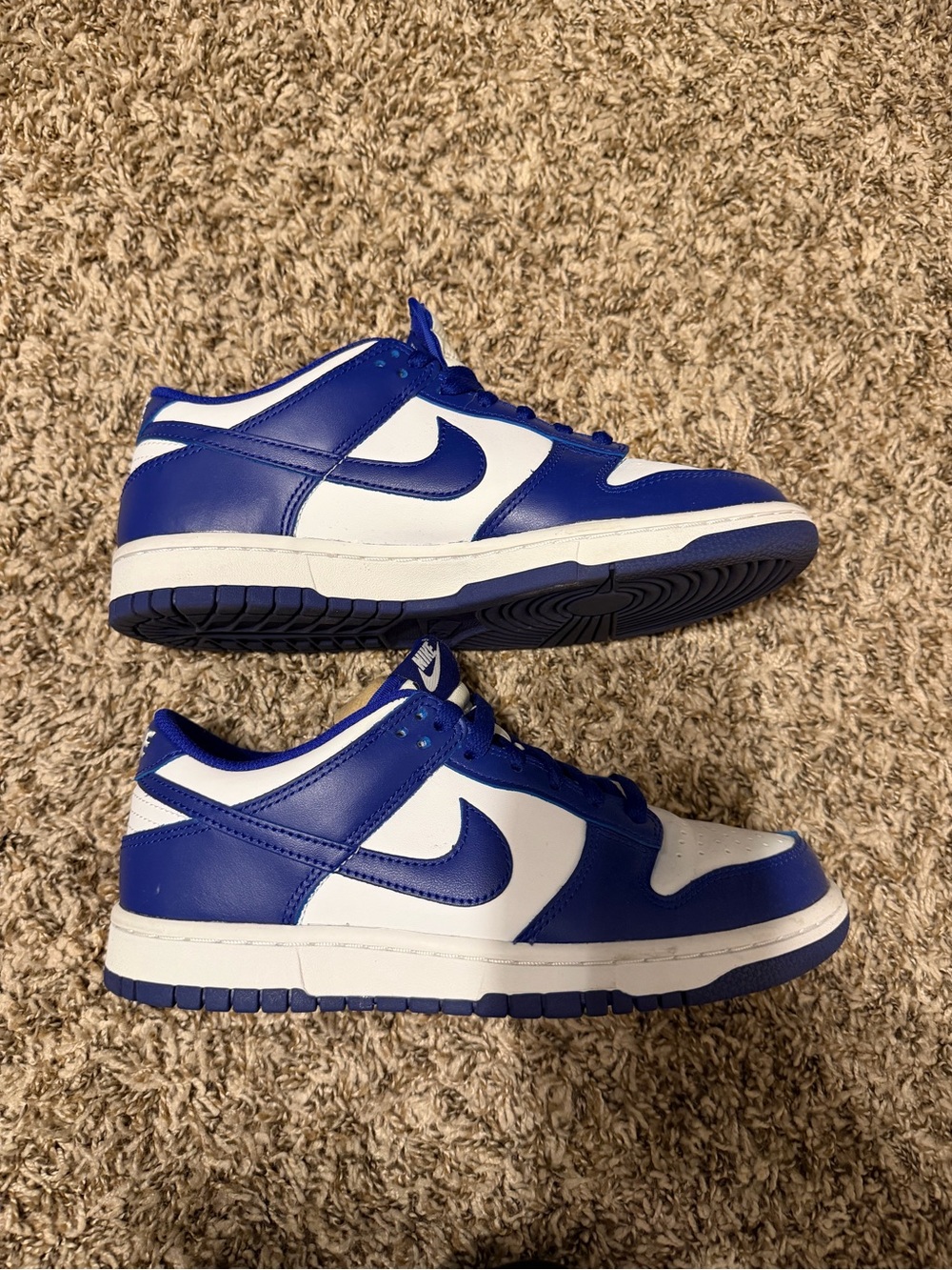 Nike boy dunks